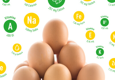 nutrientes do ovo